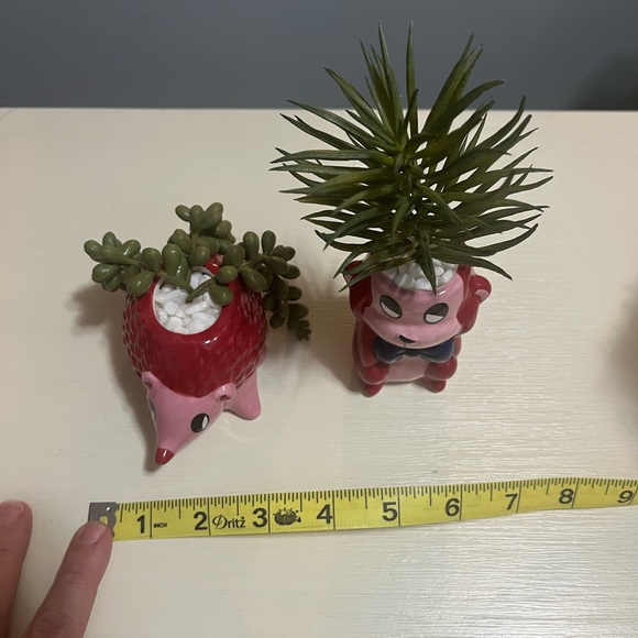 Valentine’s Pink Mini Animal Planter Set - Picture 7 of 7